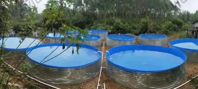 preparing fish farming tanks for aquaponics farming