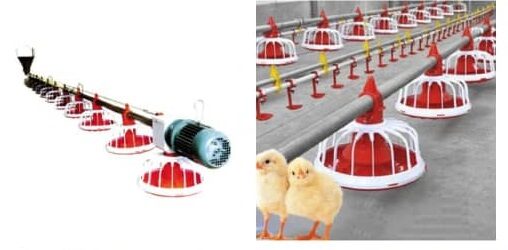 poultry feeders and drinkers