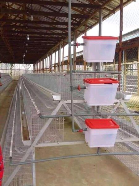 A-shape chicken battery cage system