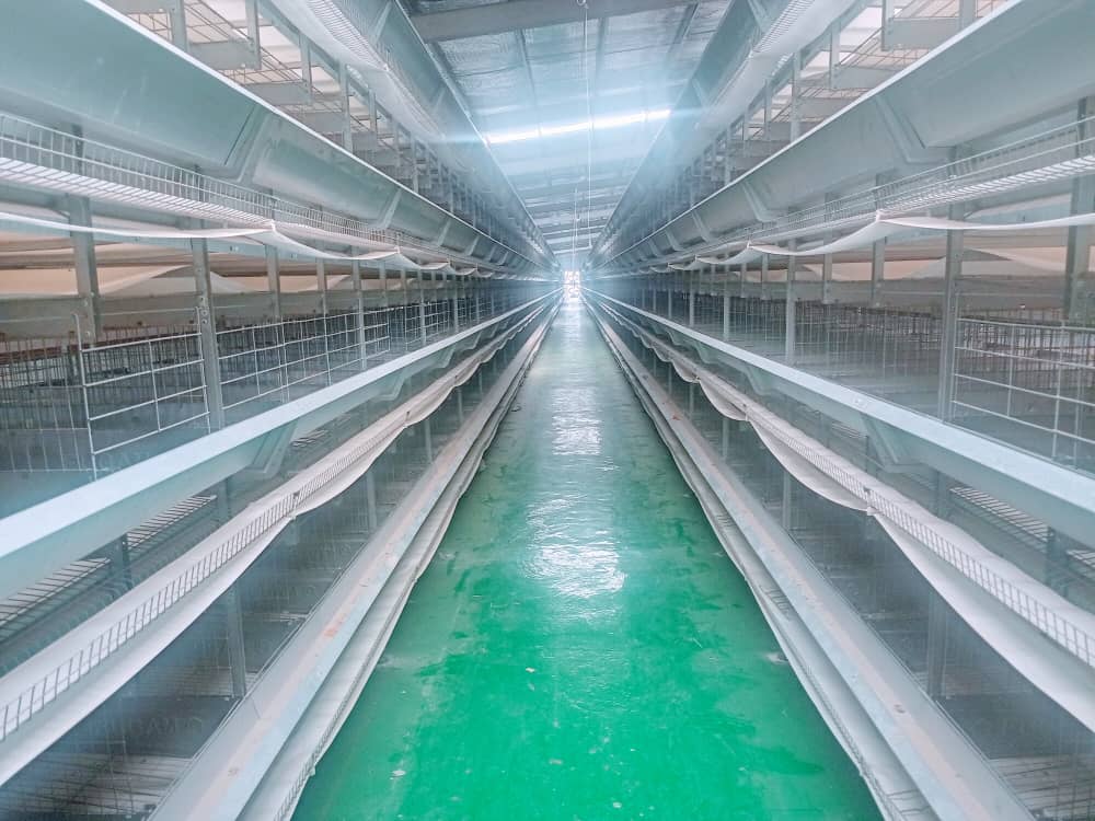 Automated Battery Cage System