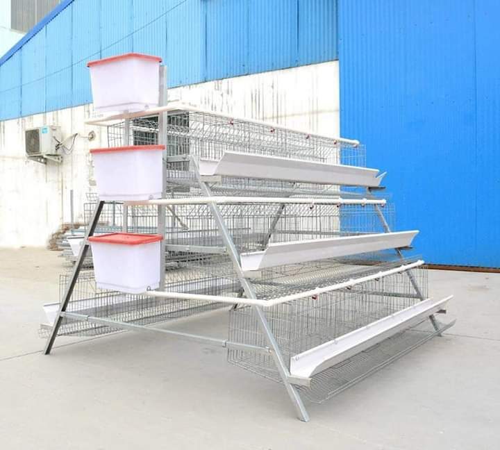 A-type battery cages system