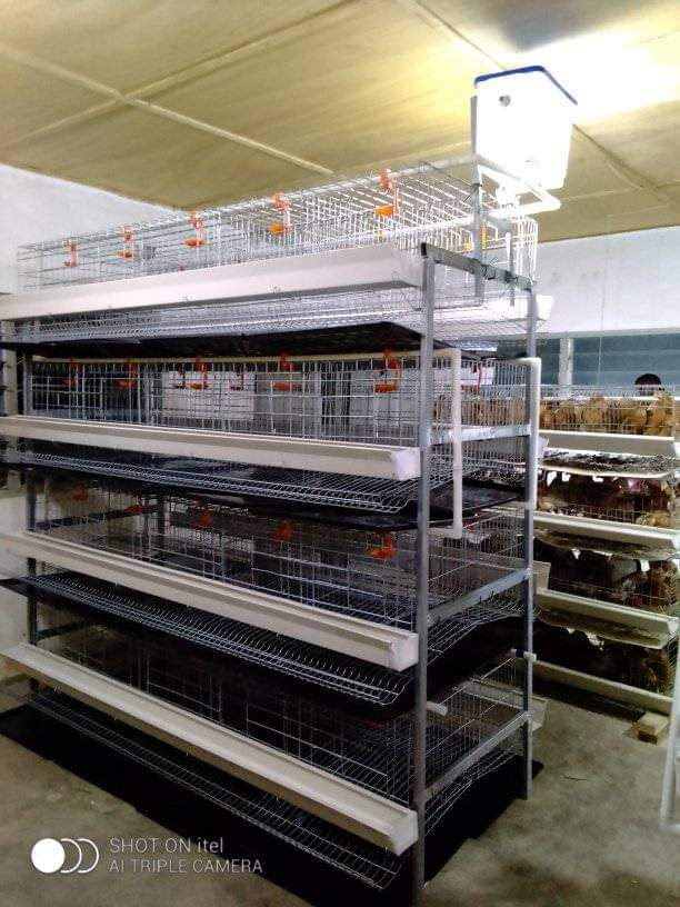 H-type battery cage system